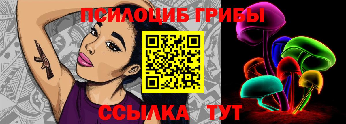 Галлюциногенные грибы Psilocybine cubensis Сургут